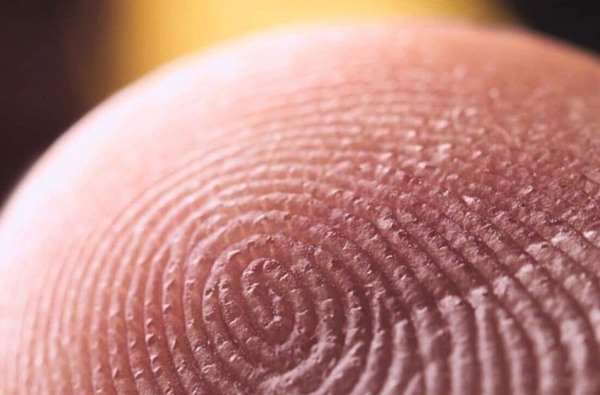  Artificial Intelligence Reveals Fingerprints Aren’t Truly Unique, Debunking 100 Years of Forensic Science