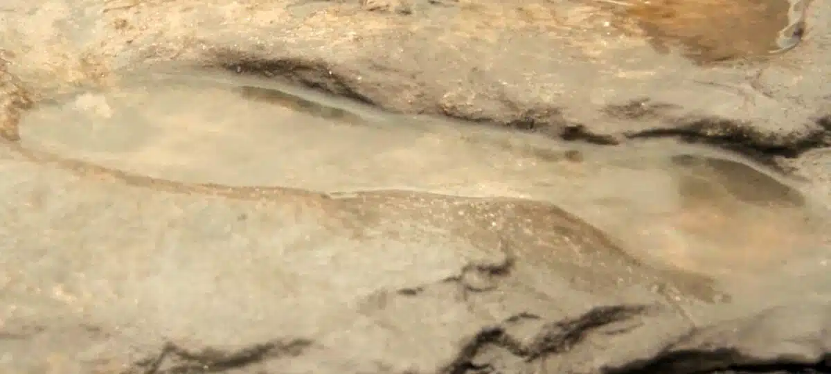 Ancient Human Footprints Preserved In Coastal Sediments At Happisburgh