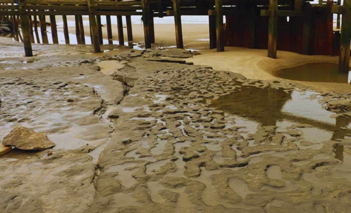  Archaeologists Found a 800,000-Year-Old Human Footprints Under UK Sand, And They’re Perfectly Preserved