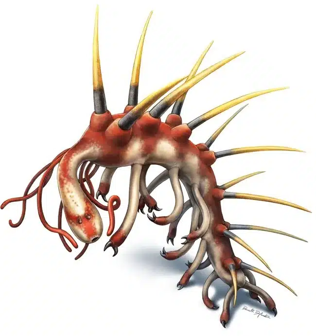 Artistic Reconstruction Of The Cambrian Creature Hallucigenia