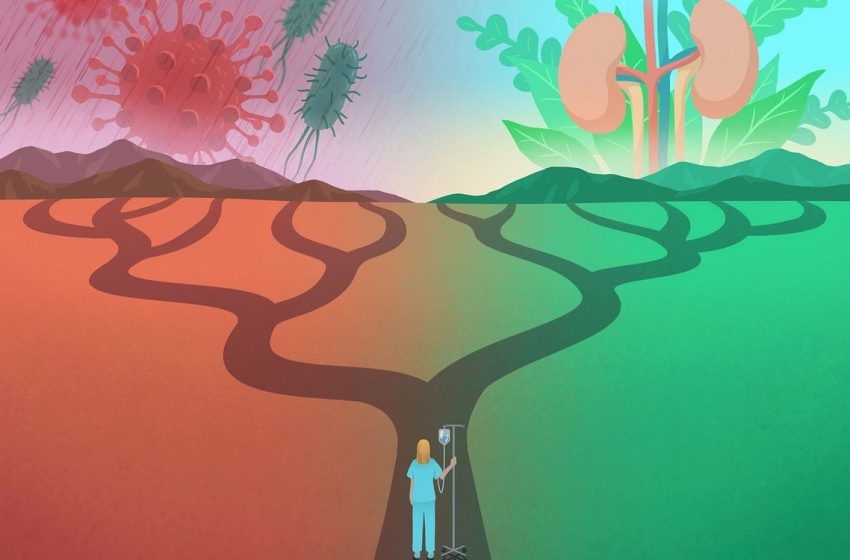  Simple Amino Acid Identified as Perhaps the Difference Between Life and Death from Illness