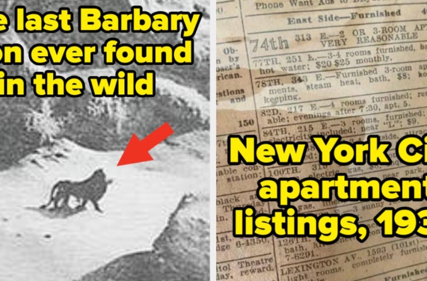  77 Absolutely Jaw-Dropping Pictures From History That Will Make You Rethink Everything You Thought You Knew About The Past