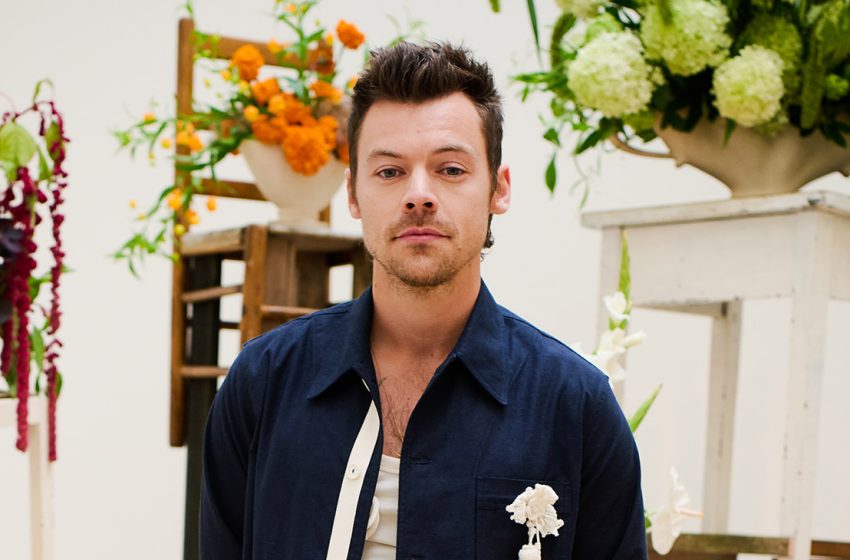  11.5 Million Signed Up for Harry Styles’ Madison Square Garden Shows