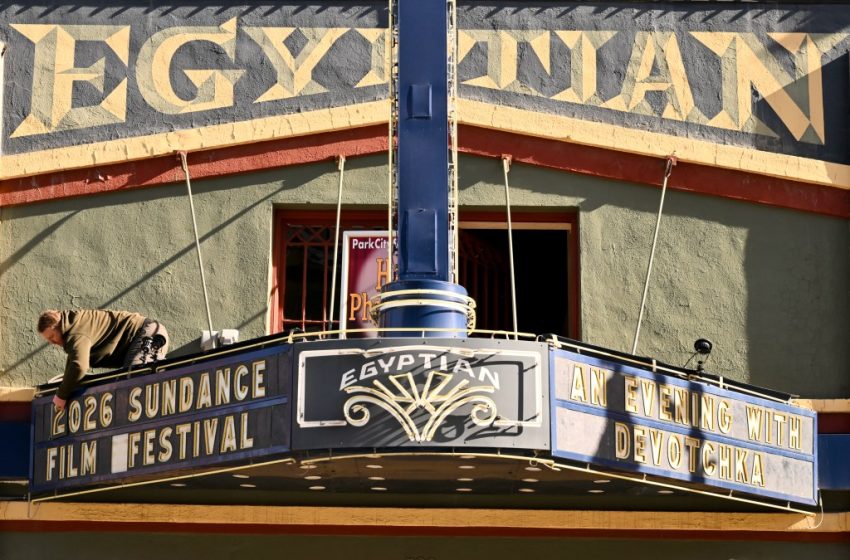  List Of All Awards At Festival
