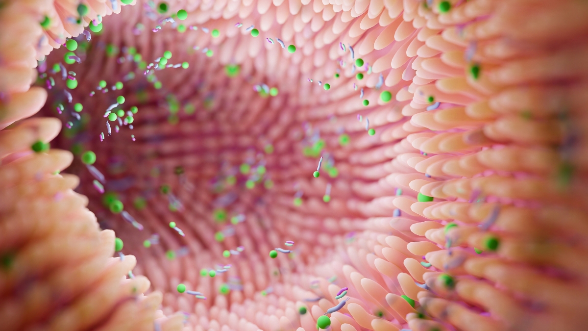  Scientists Link Gut Bacteria to Bipolar Depression in Mouse Study : ScienceAlert