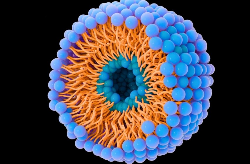  Tiny Bubbles Help Cancer Invade New Organs – And May Be Key to Stopping It : ScienceAlert