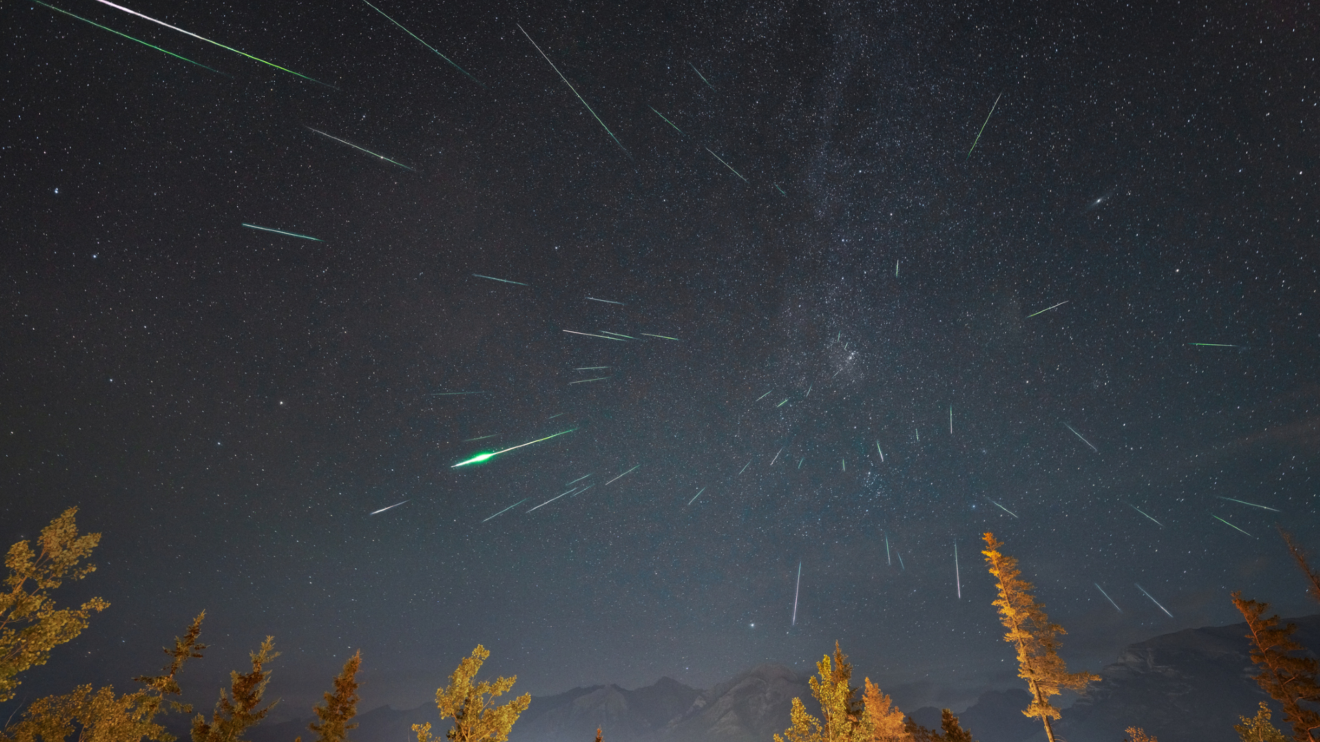 A series of white streaks from the Geminid meteor shower are seen in a gray blue night sky with yellow tree tops at the bottom of the image