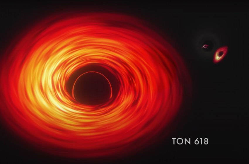  James Webb Space Telescope reveals new origin story for the universe’s 1st supermassive black holes