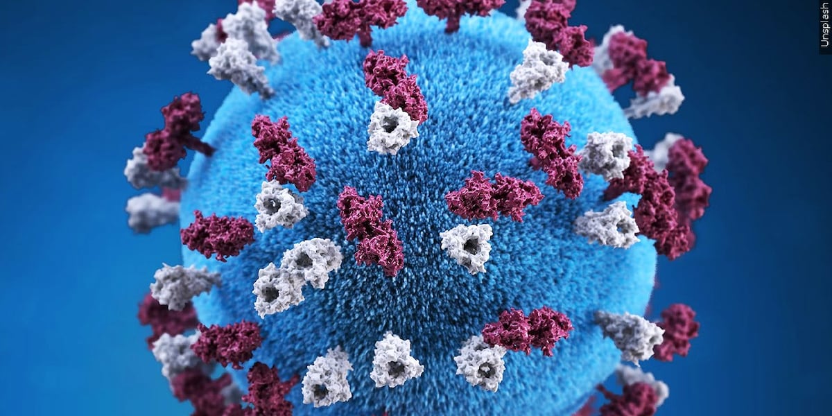  Two SC colleges confirm measles cases on campus