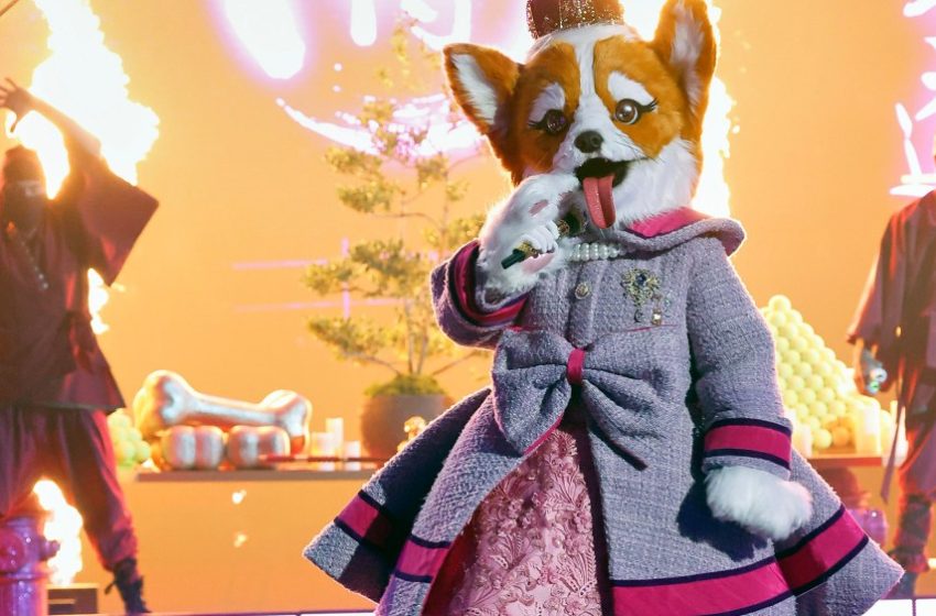  The Masked Singer Season 14 Episode 4 Recap: Queen Corgi Revealed