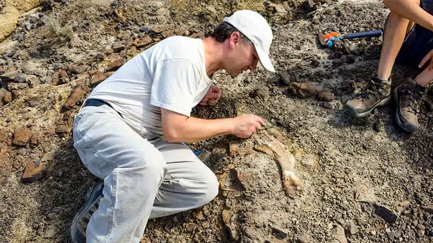 Paleontologist François Therrien Was The First On Site And Quickly Assembled A Team Once He Saw The Number Of Bones.