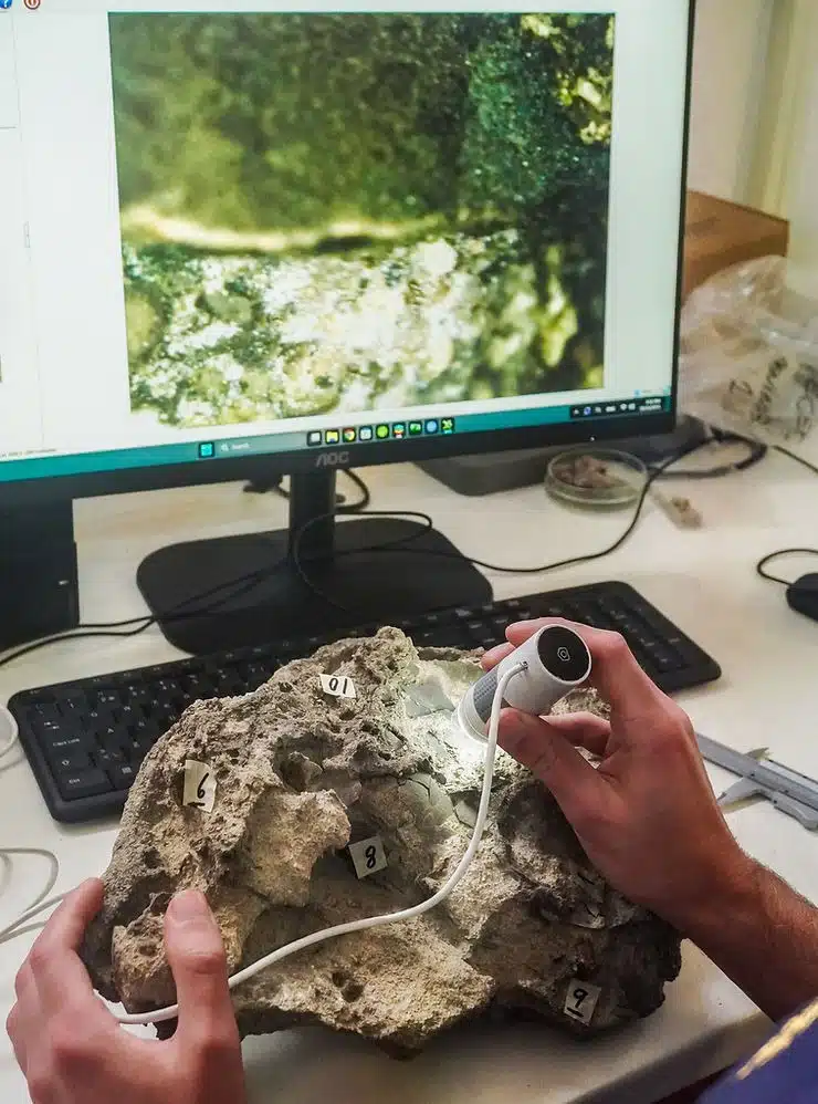 Preliminary Lab Analysis Of A Late Jurassic Dinosaur Egg Block.