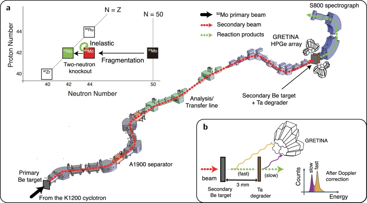 Schematic Overview Of The Experimental Setup And Steps