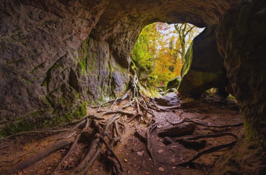  Scientists Enter a Mysterious Remote New Zealand Cave, What They Found Dates Back 1 Million Years