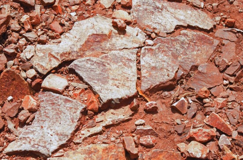  Paleontologists Smashed Open Red Rocks… and Found Perfectly Preserved Fossils