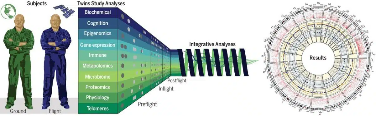 Summary Of Nasa’s Twins Study Comparing The Effects Of Spaceflight On An Astronaut And His Earth Bound Twin.