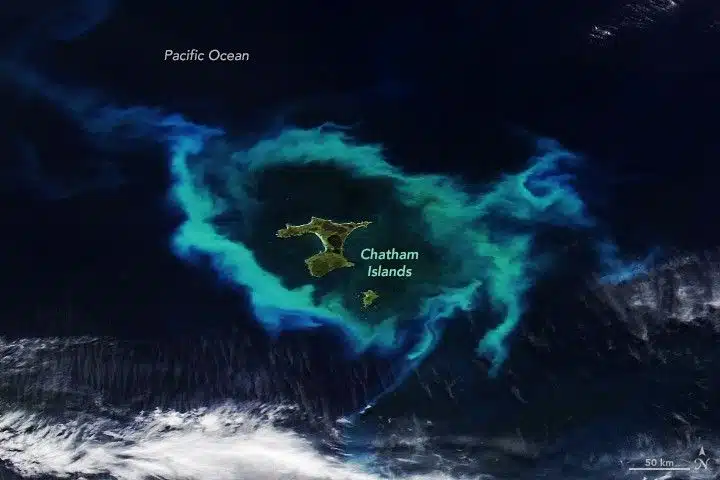 Swirls Of Phytoplankton Light Up The Waters Around The Chatham Islands.