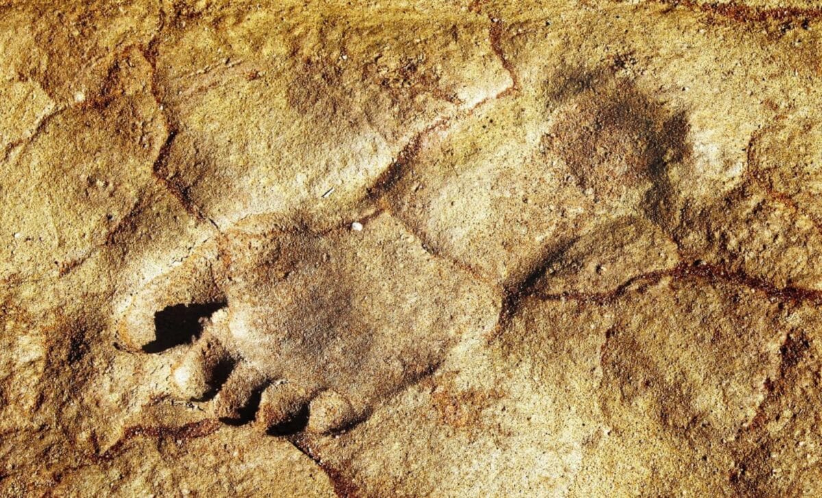  115,000-Year-Old Footprints Found in a Place Where Humans Weren’t Supposed to Be