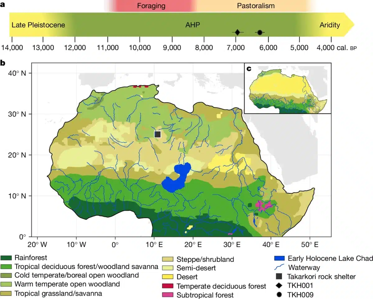 Timeline Of Climate Phases And Ways Of Life In Northeast Africa And The Central Sahara From The Late Pleistocene To The Holocene