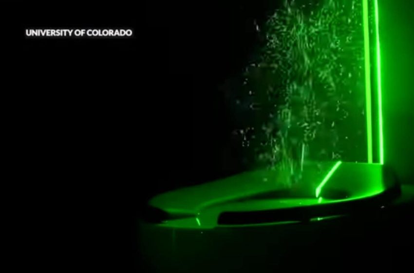  Can Bacteria from the Toilet Really Travel to Our Toothbrushes?