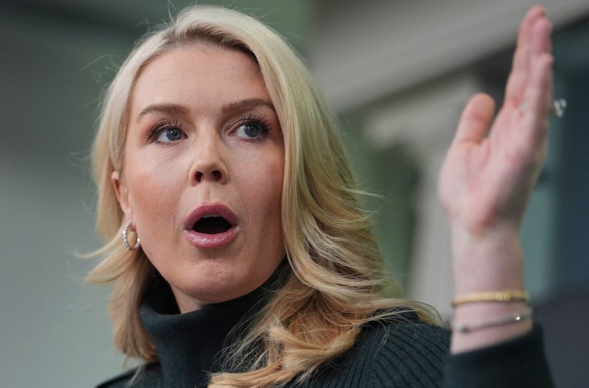  Marco Rubio defends Trump’s ‘verbal stumbles’ over Greenland blunder