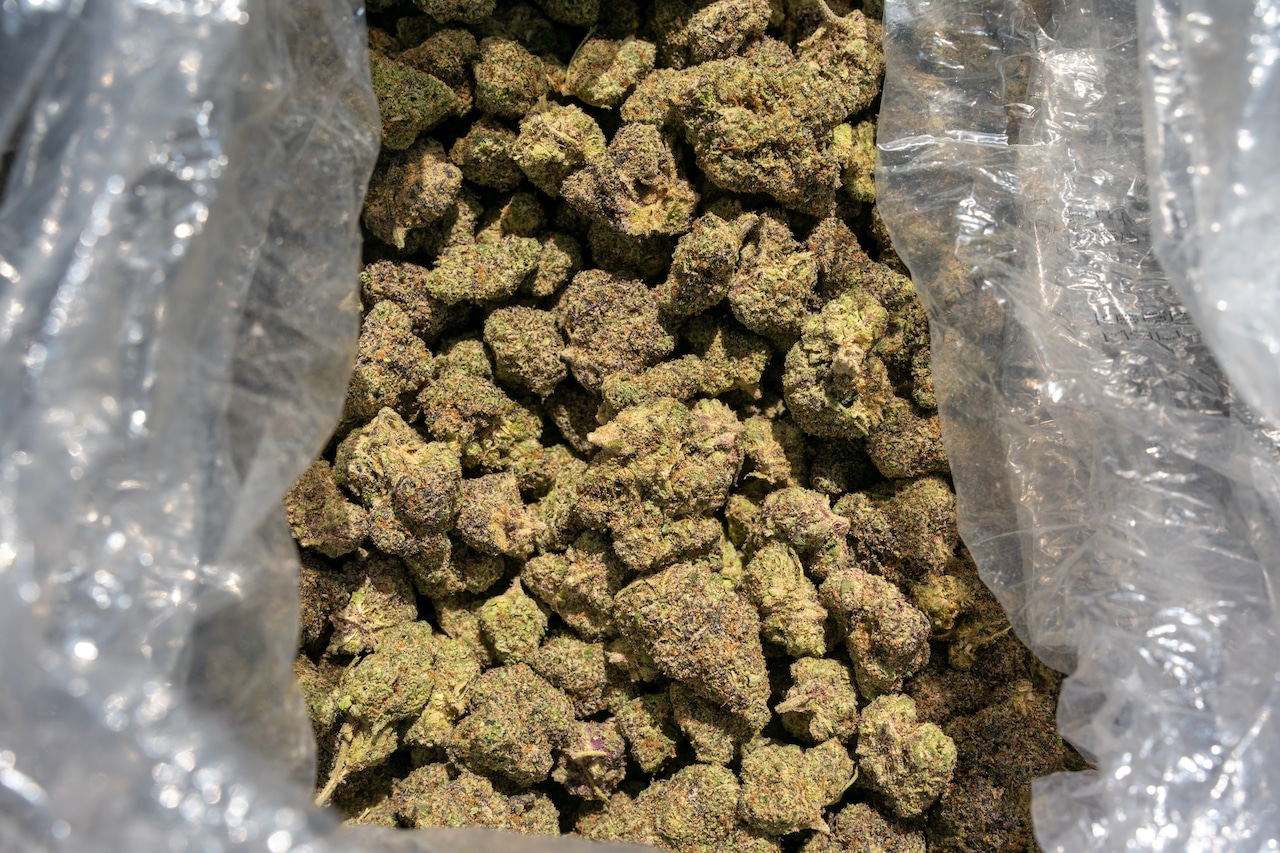 53rd annual Ann Arbor Hash Bash pays tribute to marijuana activist John Sinclair