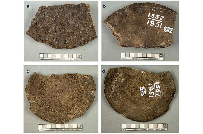 A Case Of Mistaken Ide