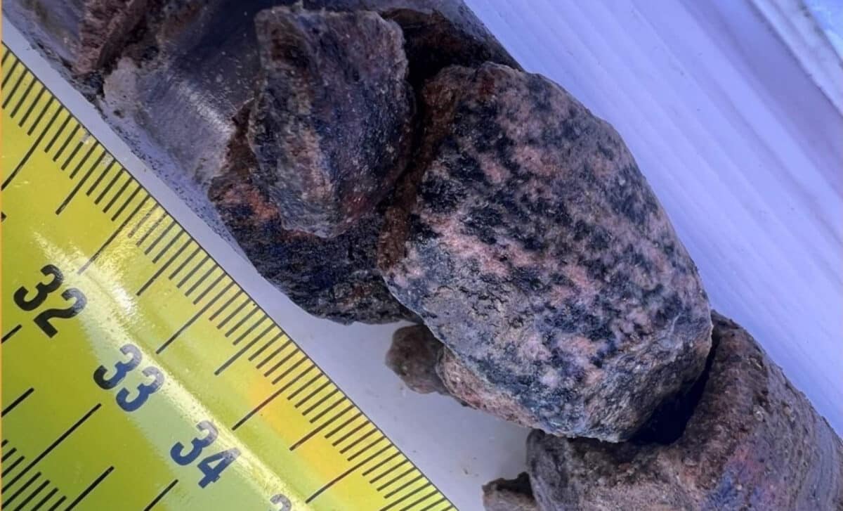 A Core Of Bedrock And Sediment Pulled Up From 300 Feet Below The Greenland Ice Sheet Near The Edge Of Prudhoe Dome