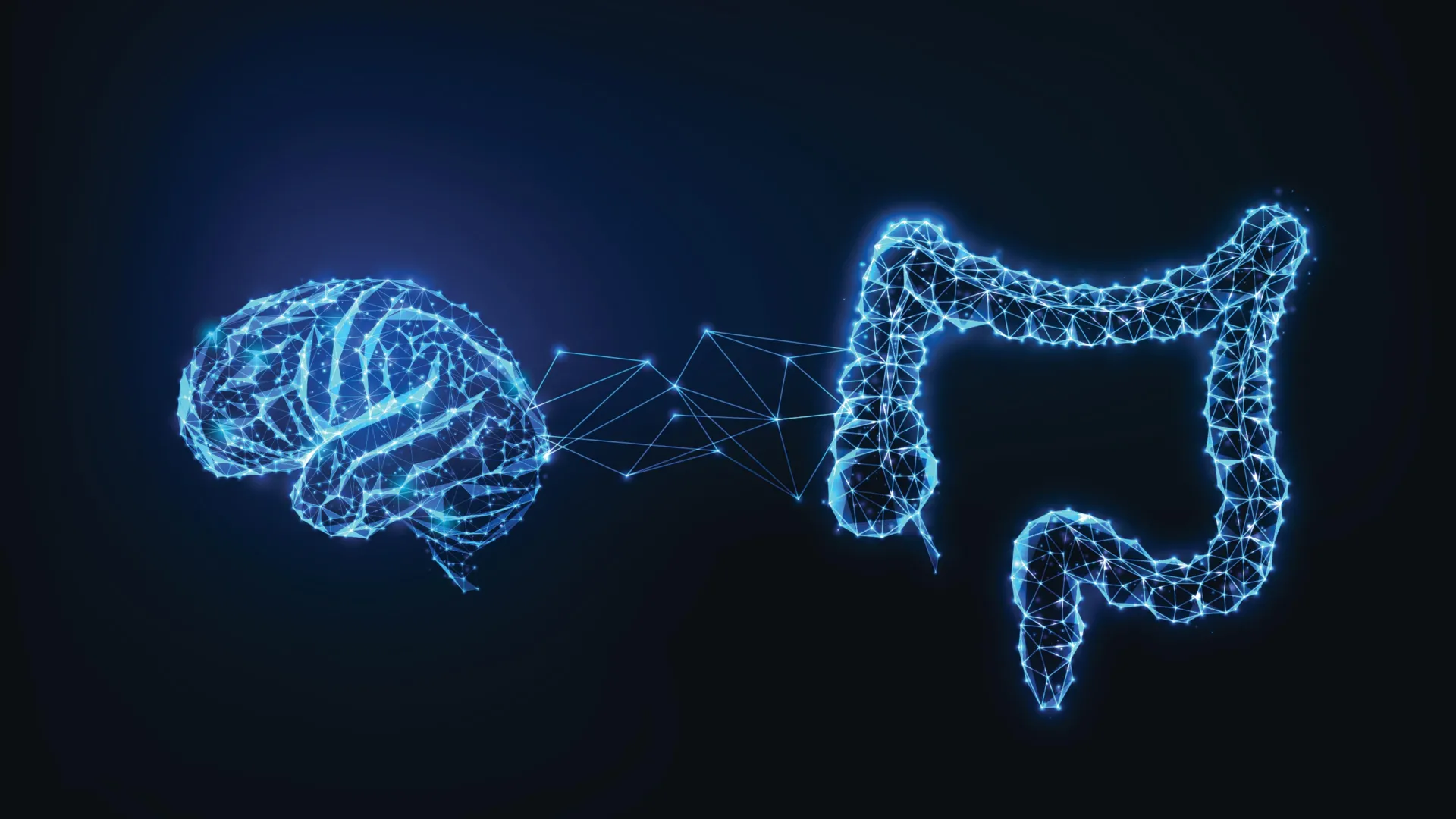  The secret to human intelligence? It might be in our gut