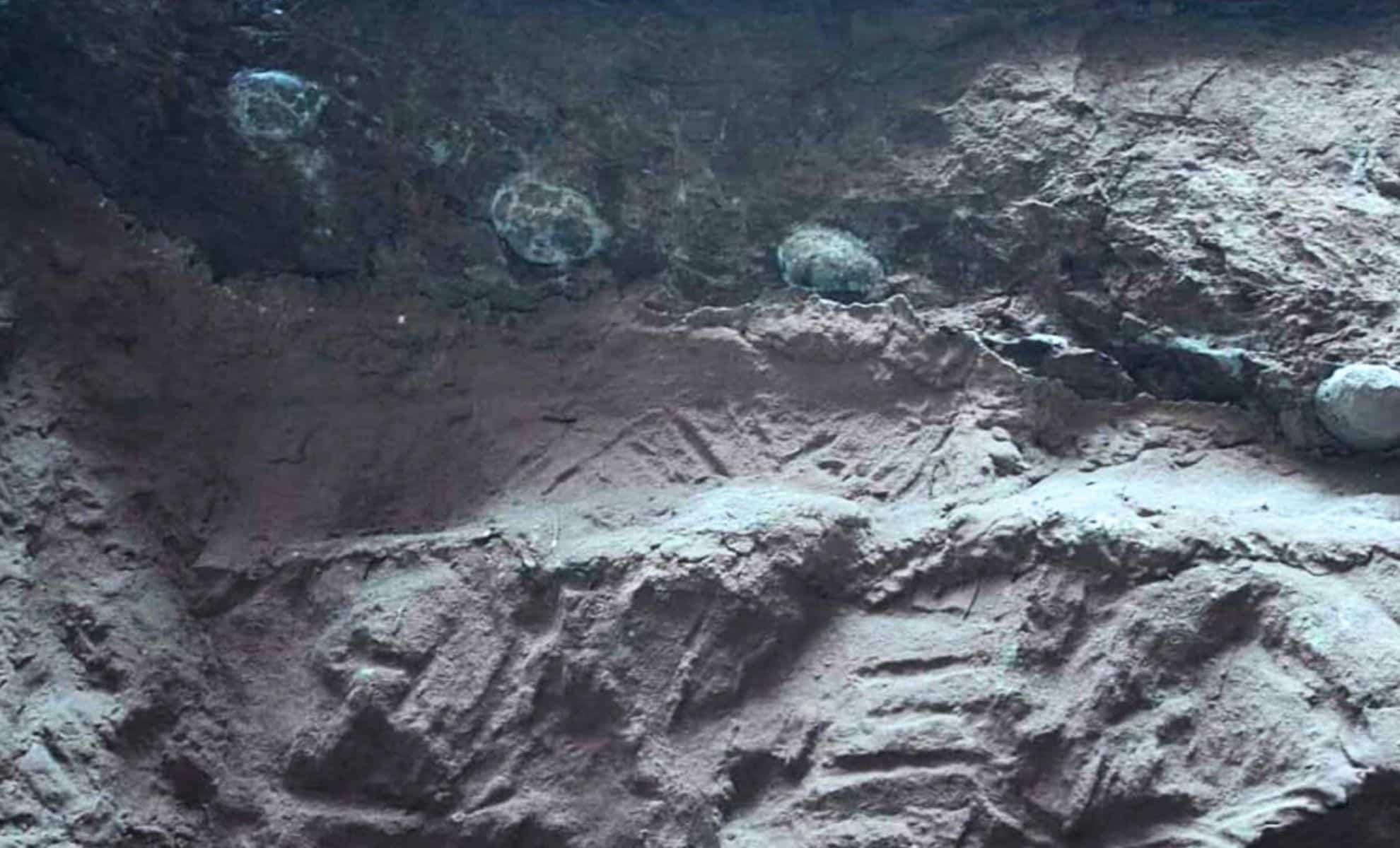  Dinosaur Eggs as Large as Cannonballs Were Found Filled With Massive Crystals Instead of Ancient Bones