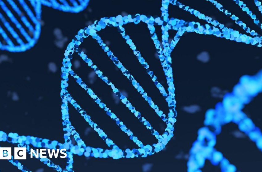  AI model from Google's DeepMind reads recipe for life in DNA – BBC