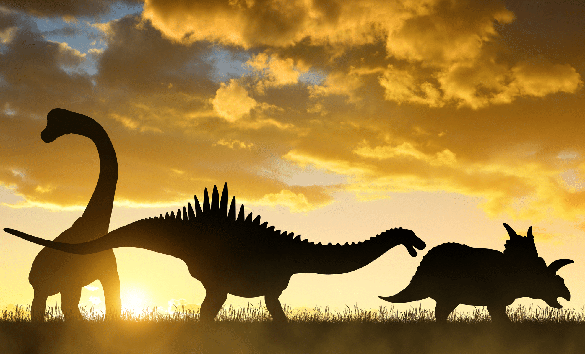  Dinosaurs Were Thriving Until The Very End, New Study Finds