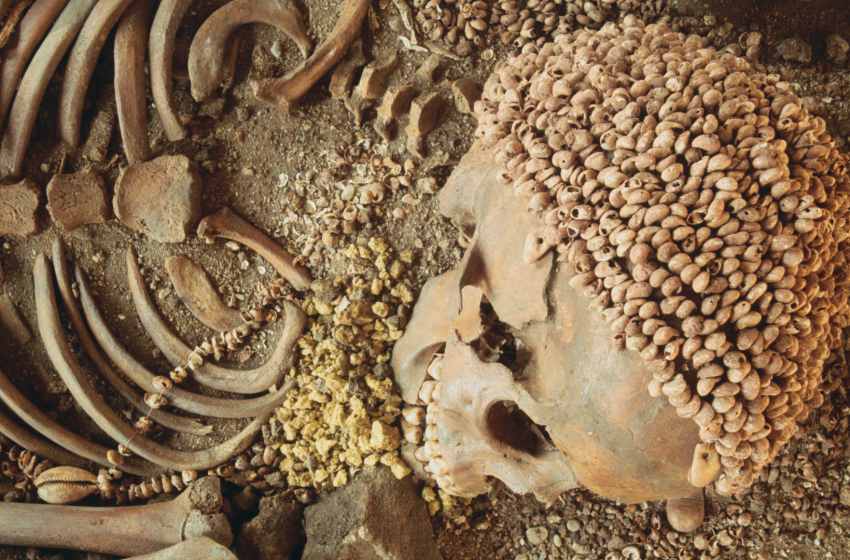  Stone Age teenager was mauled by a bear 28,000 years ago, skeletal analysis confirms