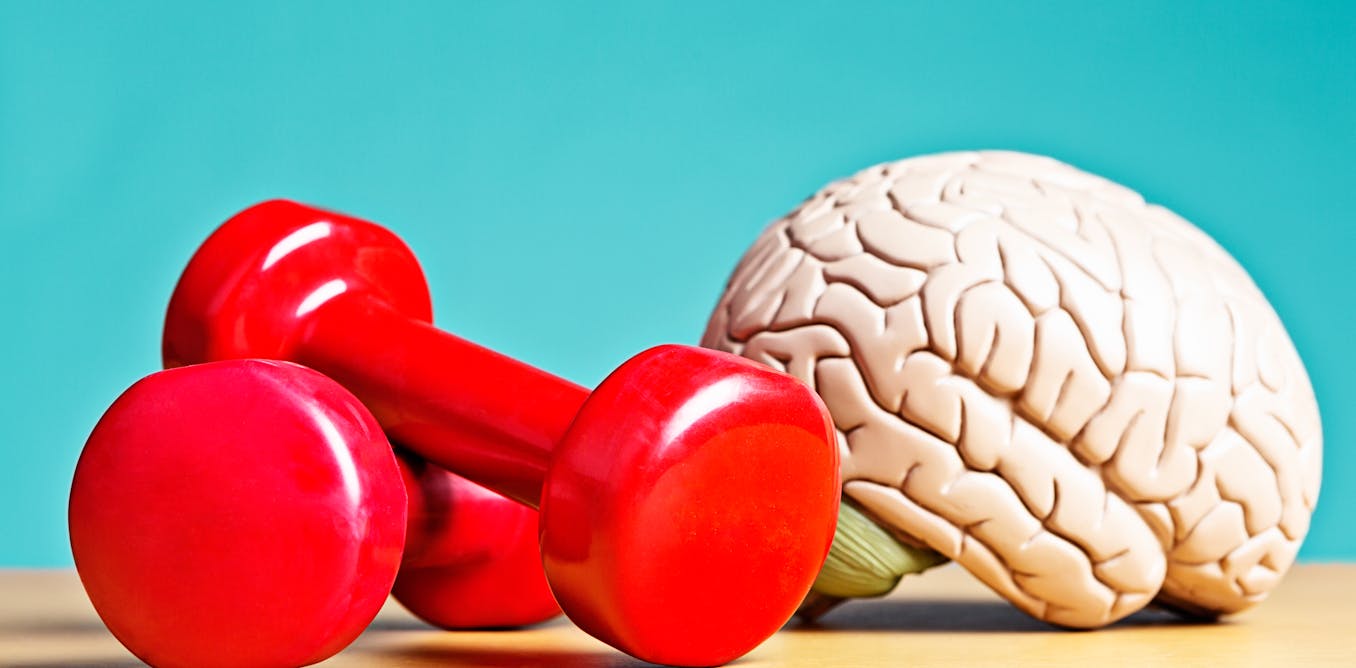  Your brain can be trained, much like your muscles – a neurologist explains how to boost your brain health