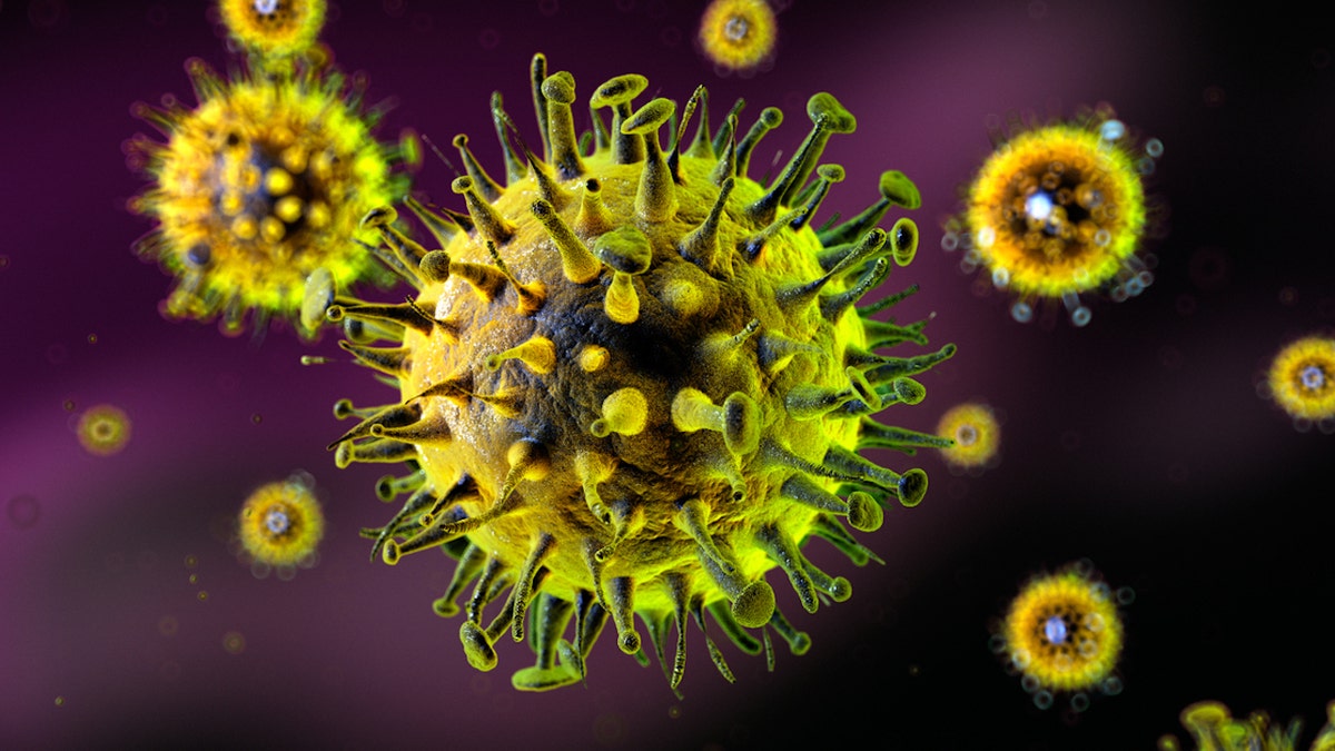 Flu virus