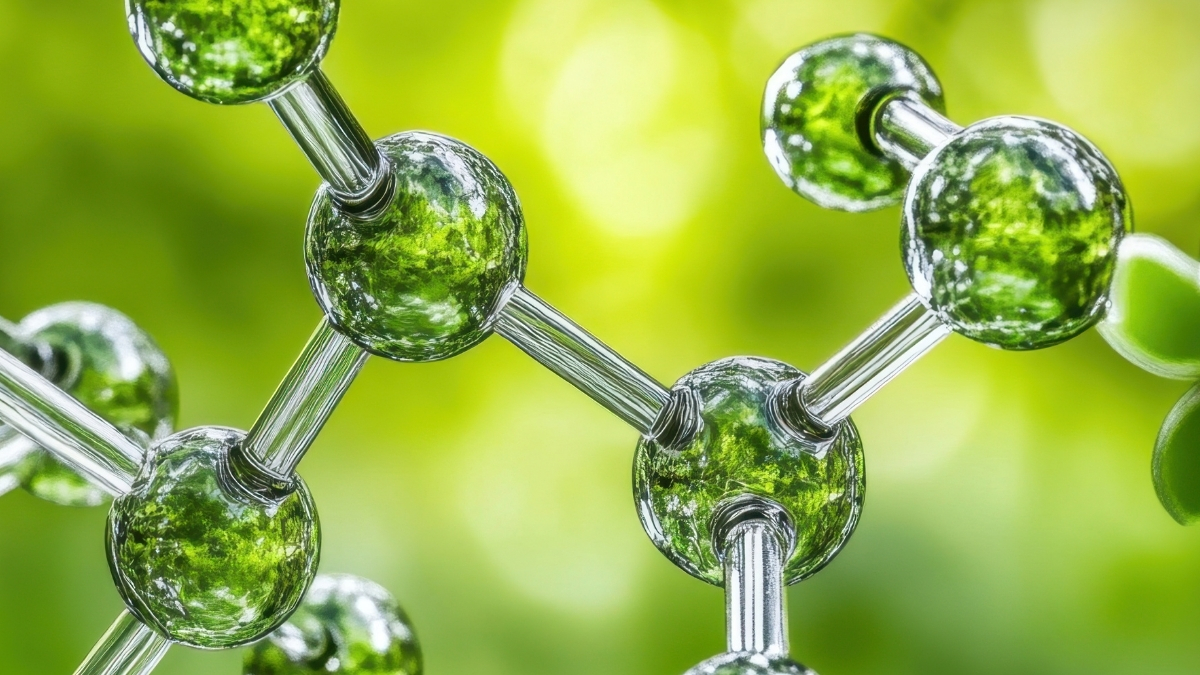  Potential Anti-Cancer Fungal Compound Finally Synthesized After 55 Years : ScienceAlert