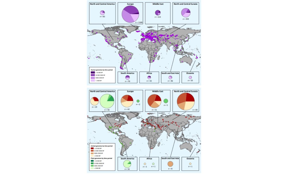 Geographic And Temporal Distribution Of Ancient Genomes Published Through December 15, 2018. ©katherine Brunson David Reich