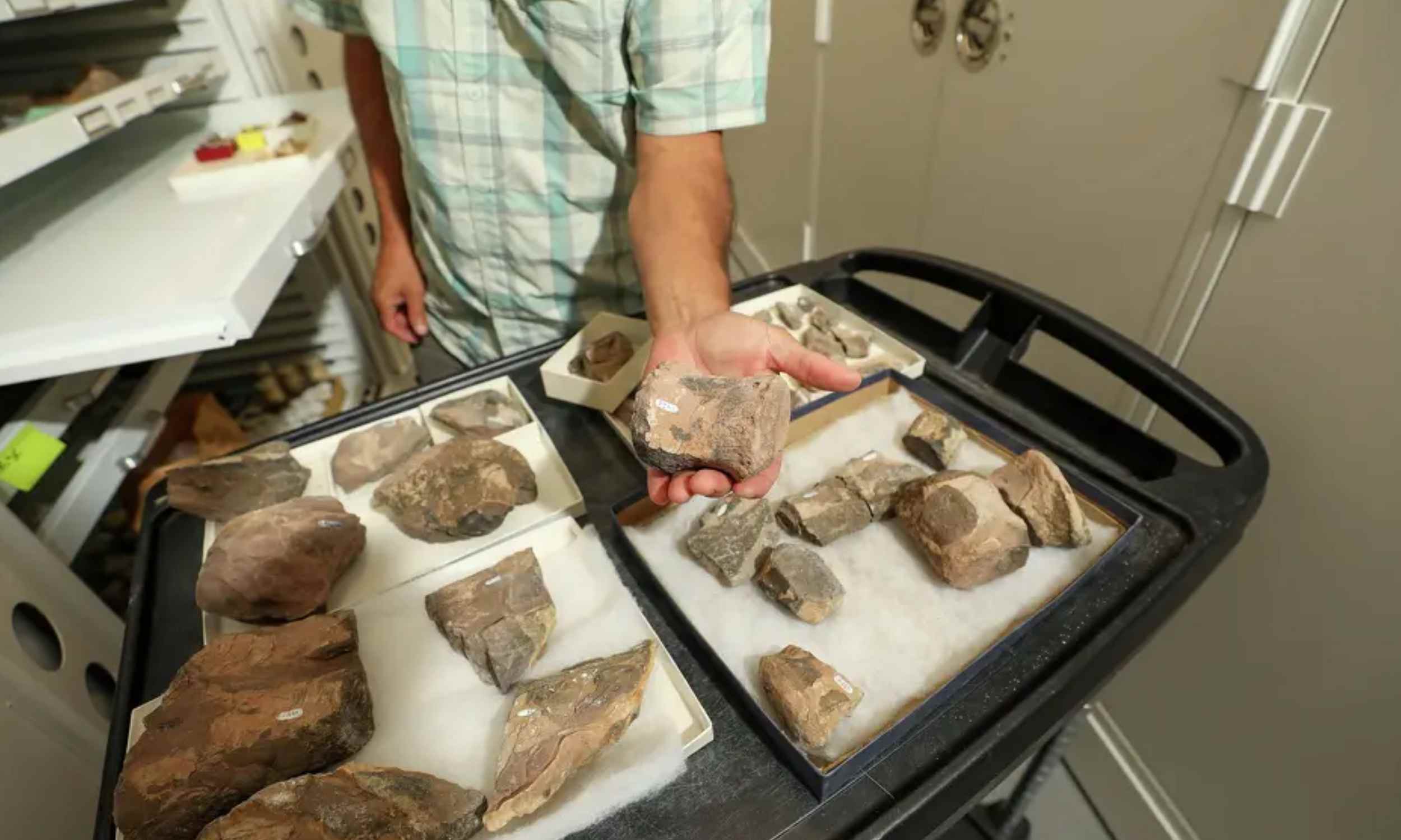 Rare fossil rewrites the story of early dinosaurs in the Southwest
