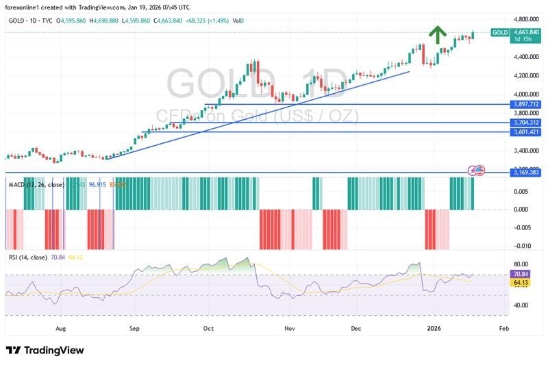  Remain on Upward Trajectory (Chart)