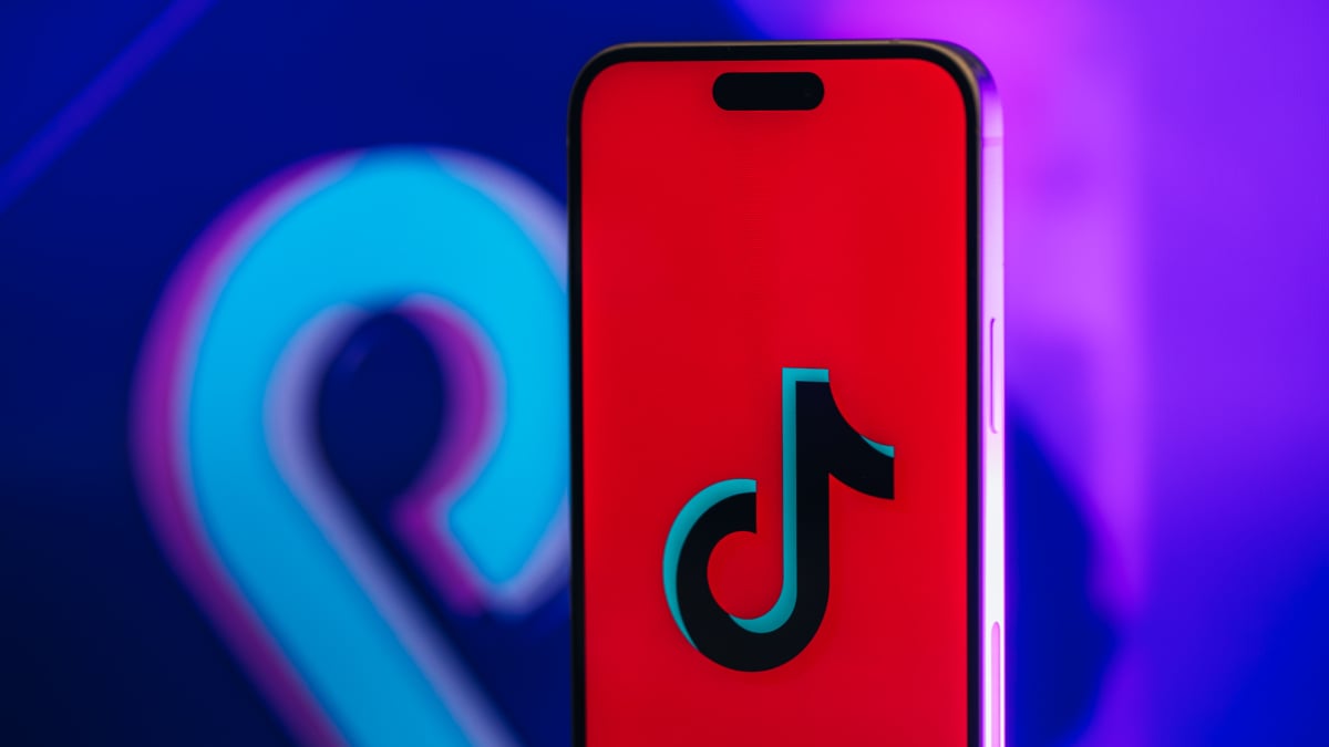  Does TikTok’s new Terms of Service track race, gender identity, and immigration status?