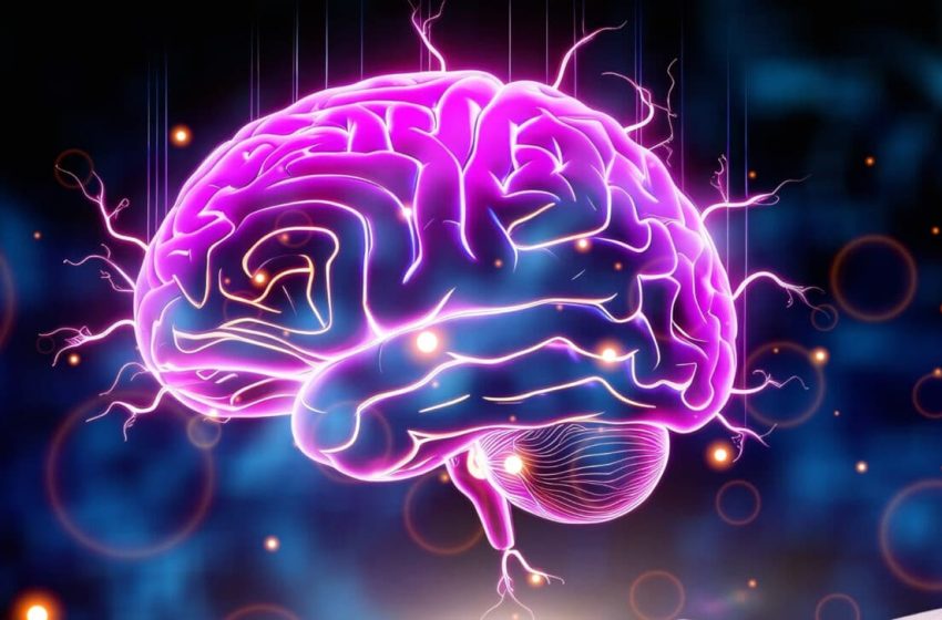  They Grew Human Brain Cells in Rats for the First Time, Then Noticed Something Strange