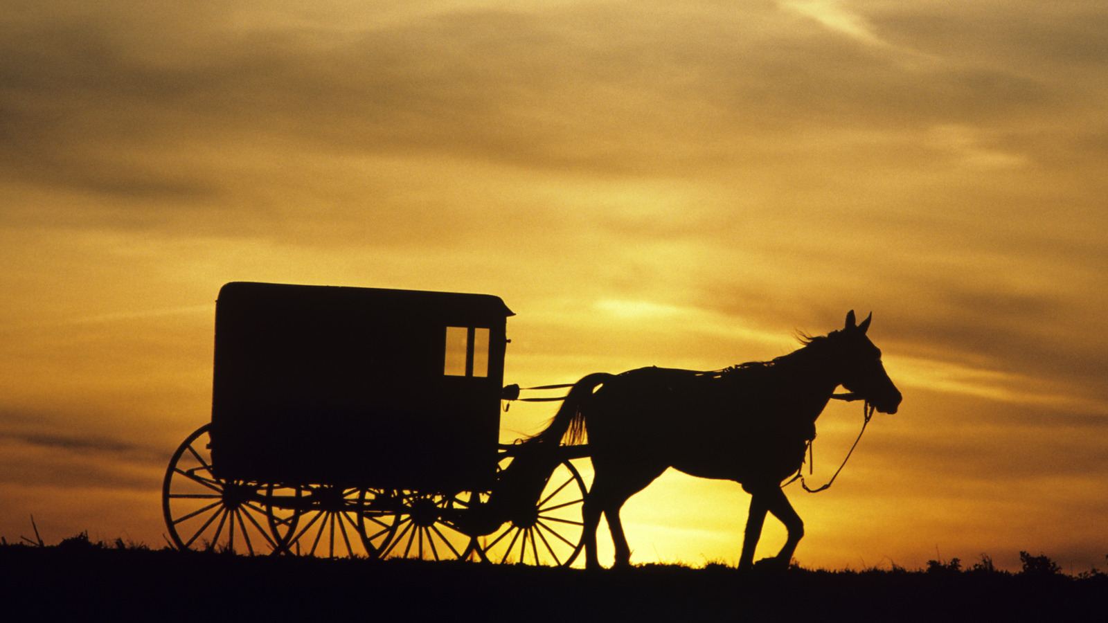  Some Amish Communities Are Adopting E-Bikes Instead Of Horses