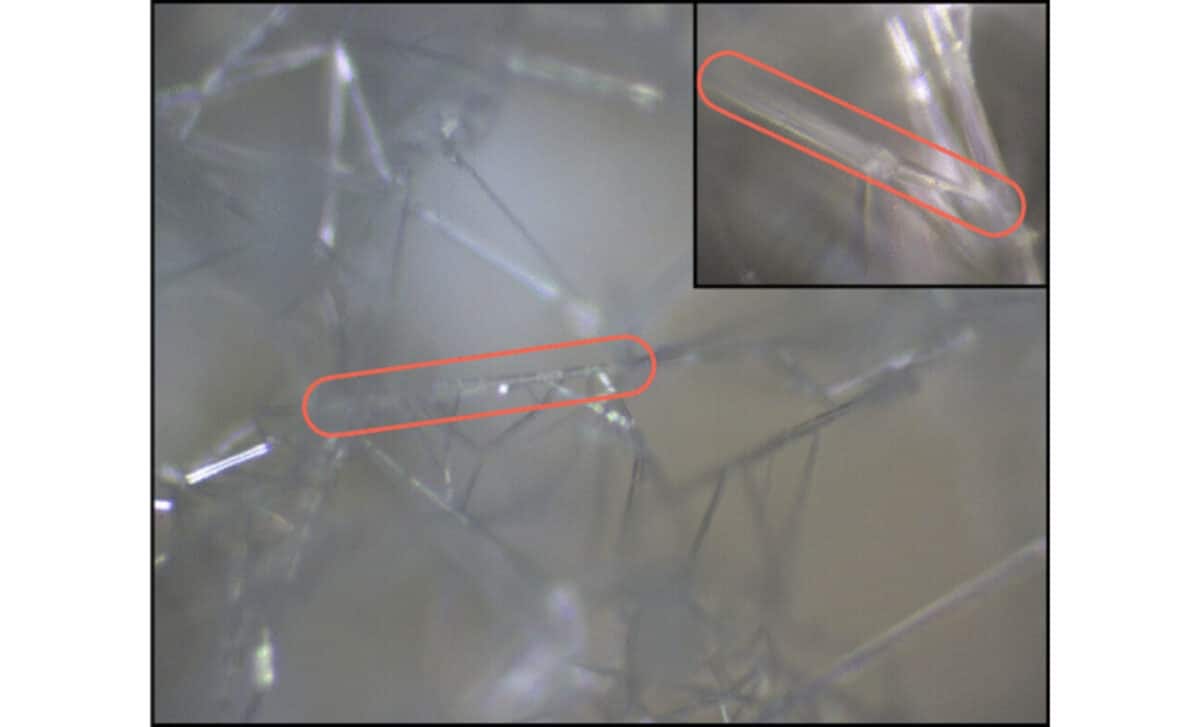 Microscope Image Of Hcn Crystals With 10× (full Image) And 50× (top Right Inset) Magnification