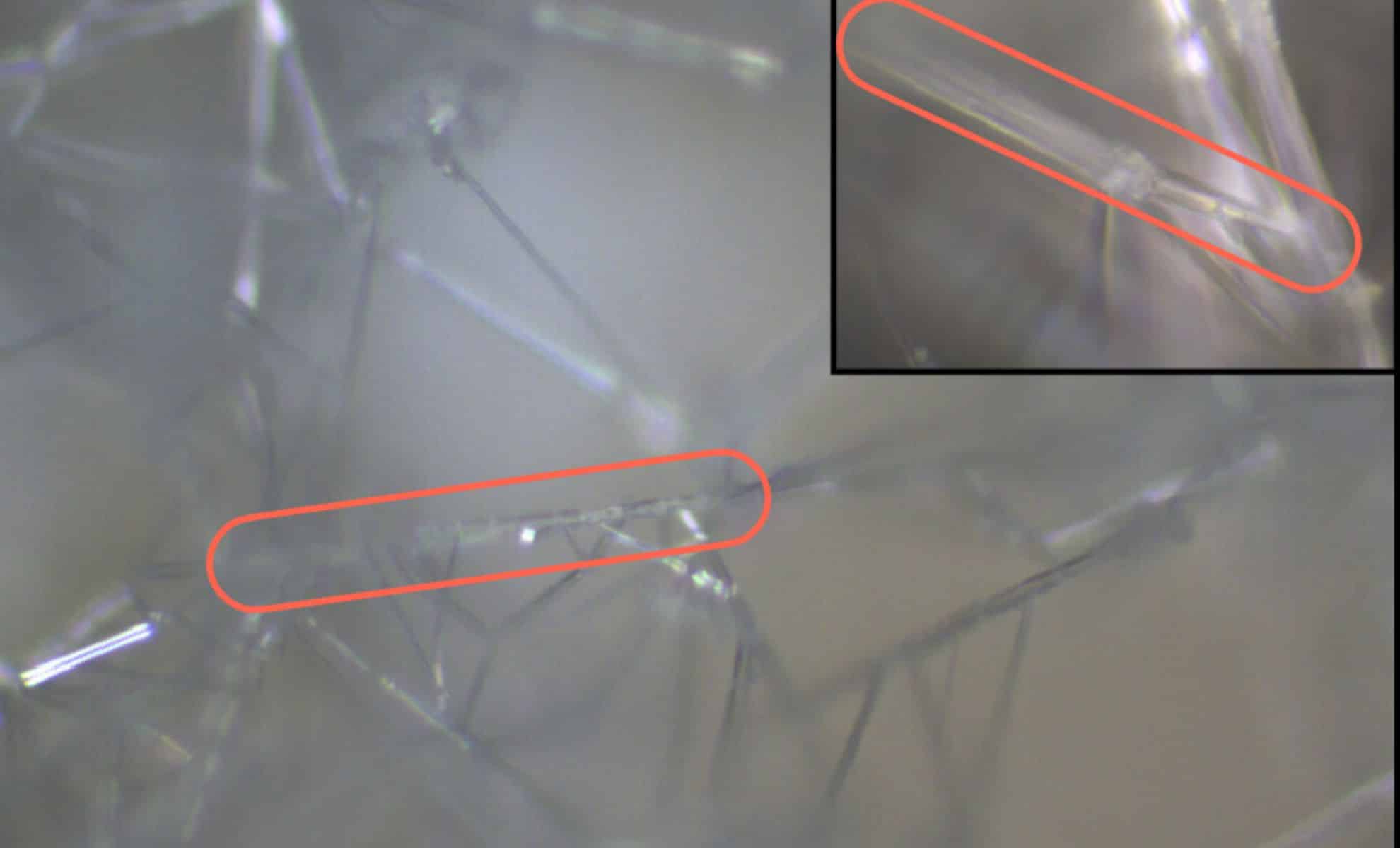  Frozen Chemical Once Feared by Scientists May Have Ignited Life on Earth