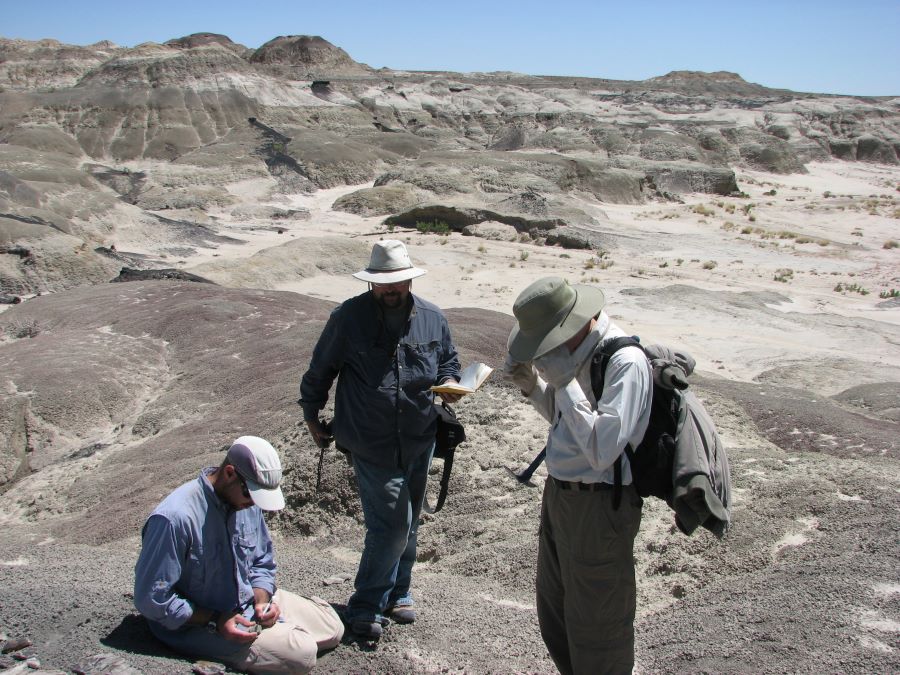 Nm 2011 On Site 900 X 600