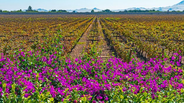  Beat the winter blues with these restorative escapes