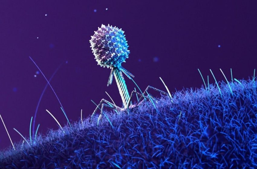  Microbes in Space Mutated And Developed a Remarkable Ability : ScienceAlert