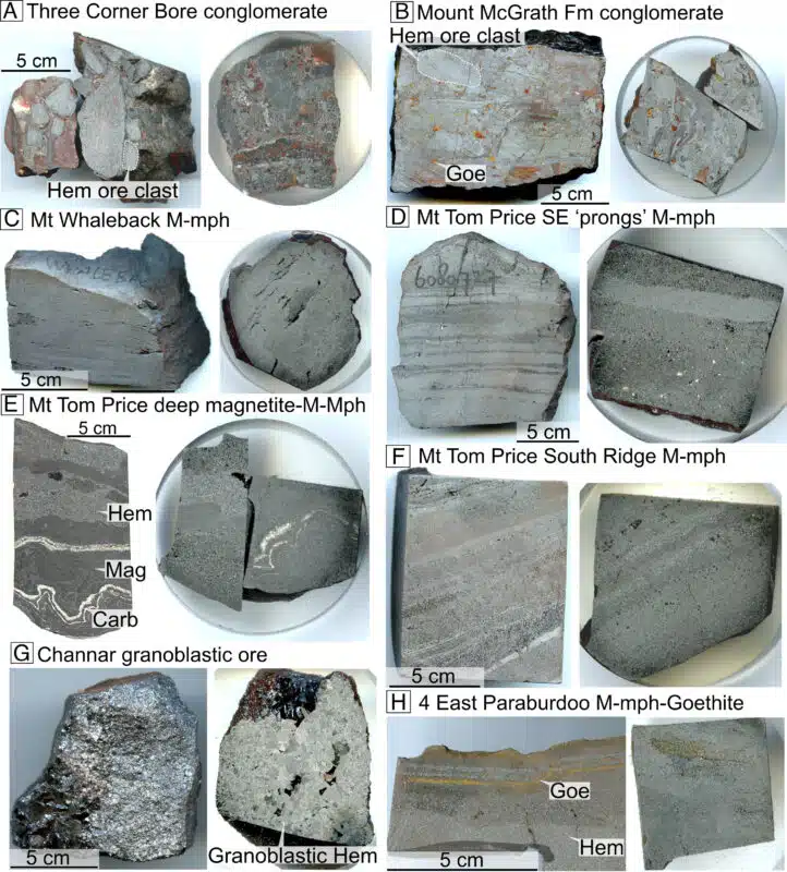 Pnas.2405741121fig02