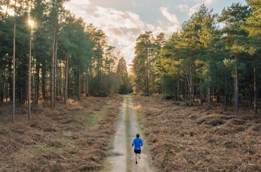  The Best Exercise for Longevity, According to a Massive New Study