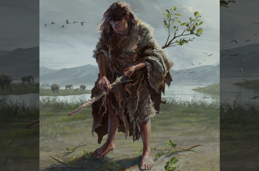  430,000-year-old wooden handheld tools from Greece are the oldest on record — and they predate modern humans